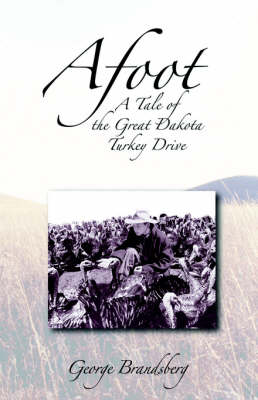 Africasoul (Hardback)