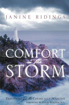 Comfort in the Storm (Paperback)