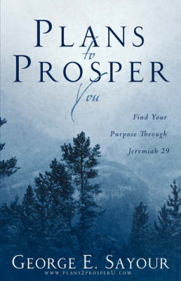 Plans to Prosper You (Paperback)