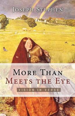 More Than Meets the Eye (Paperback)