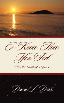 I Know How You Feel (Paperback)