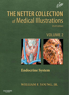 The Netter Collection of Medical Illustrations: The Endocrine System: Volume 2 - Netter Green Book Collection (Hardback)