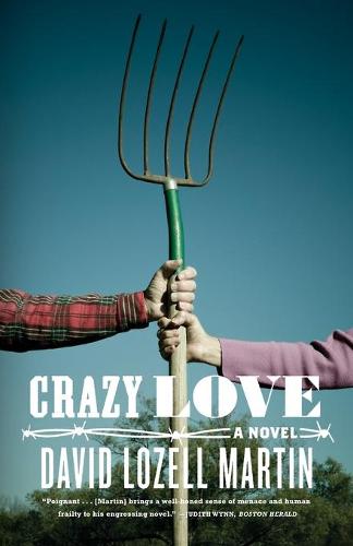 Crazy Love: A Novel (Paperback)