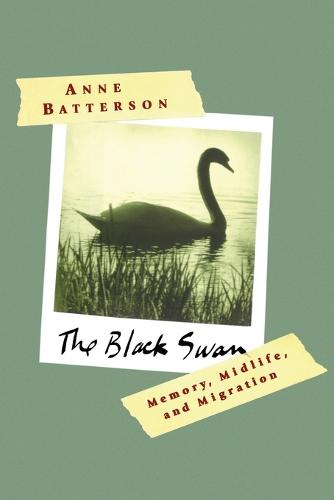 The Black Swan: Memory, Midlife, and Migration (Paperback)