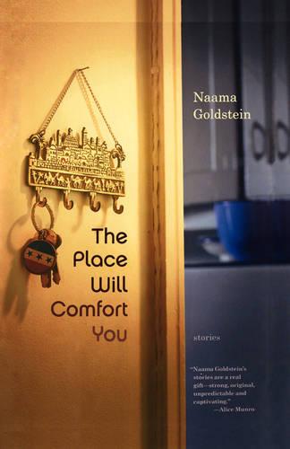 The Place Will Comfort You: Stories (Paperback)