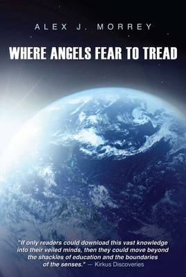 Where Angels Fear to Tread: The Nature of Reality and Meaning of God (Paperback)