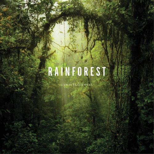 Rainforest by Lewis Blackwell | Waterstones