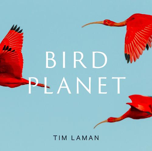 Bird Planet: A Photographic Journey (Hardback)