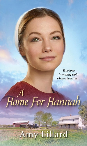 Home for Hannah (Paperback)