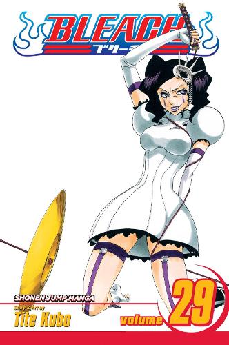 Bleach, Vol. 29 - Bleach 29 (Paperback)