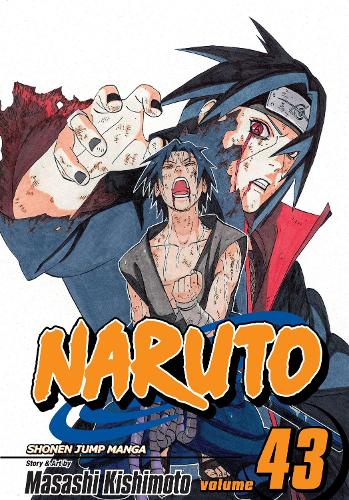 Naruto, Vol. 43 - Masashi Kishimoto