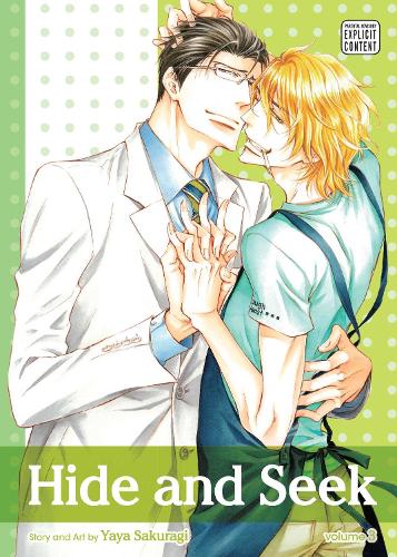 Hide and Seek, Vol. 3 - Hide and Seek 3 (Paperback)