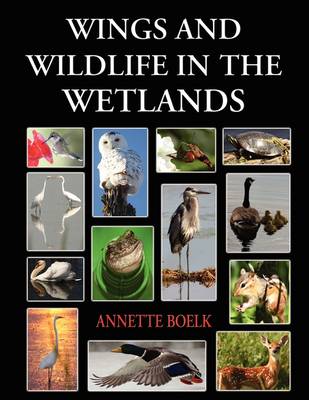 Wings and Wildlife in the Wetlands (Paperback)