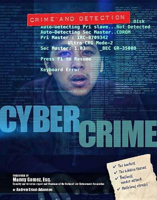 Cyber Crime (Hardback)