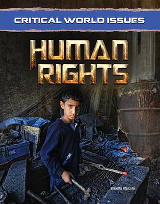 Human Rights (Hardback)