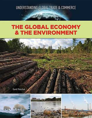 The Global Economy & the Environment (Hardback)