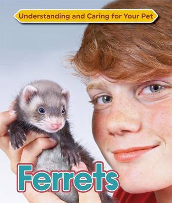Ferrets (Hardback)