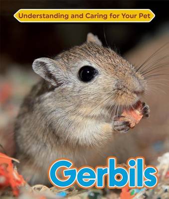 Gerbils (Hardback)