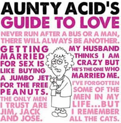 Aunty Acid's Guide to Love (Hardback)