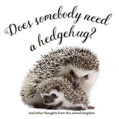Does Somebody Need a Hedgehug? (Hardback)