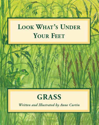 Look What's Under Your Feet: Grass (Paperback)
