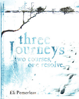 Three Journeys: ..Two Courses, One Resolve (Paperback)