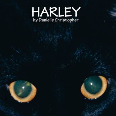 Harley (Paperback)