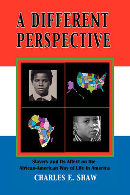 A Different Perspective: Slavery and It's Affect on the African-American Way of Life in America (Hardback)