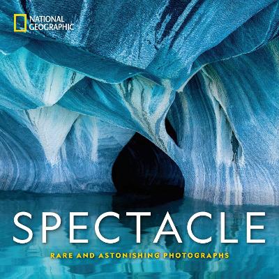 Spectacle: Photographs of the Astonishing (Hardback)