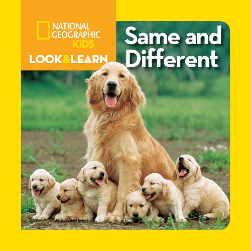 Look and Learn: Same and Different - Look&Learn (Board book)