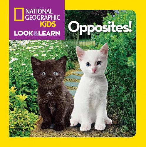Look and Learn: Opposites! - Look&Learn (Board book)