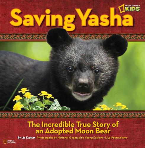 Saving Yasha: The Incredible True Story of an Adopted Moon Bear - Picture Books (Hardback)