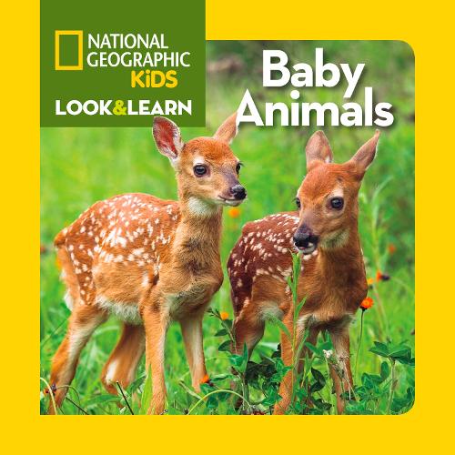 Look and Learn: Baby Animals - Look&Learn (Board book)