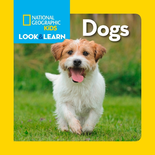 Look and Learn: Dogs - Look&Learn (Board book)