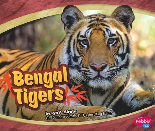 Bengal Tigers - Asian Animals (Paperback)
