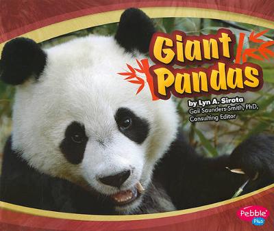 Giant Pandas - Asian Animals (Paperback)