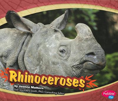 Rhinoceroses - Asian Animals (Paperback)
