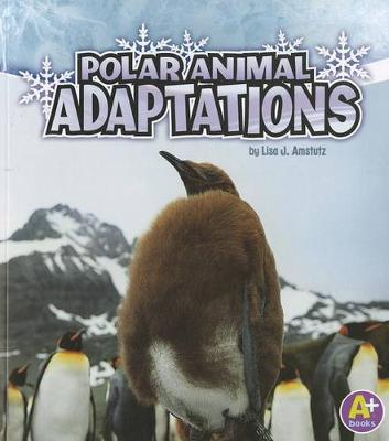 Polar Animal Adaptions - Amazing Animal Adaptions (Paperback)