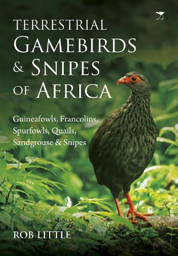 Terrestrial gamebirds & snipes of Africa: Guineafowls, Francolins, Spurfowls, Quails, Sangrouse & Snipes (Paperback)