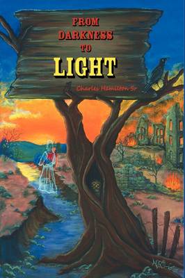 From Darkness to Light (Hardback)