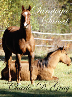 Saratoga Sunset (Paperback)