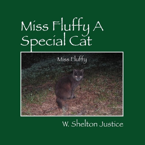 Miss Fluffy a Special Cat (Paperback)