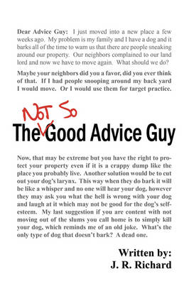 The Not So Good Advice Guy (Paperback)