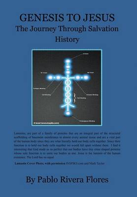 Genesis to Jesus: The Journey Through Salvation History (Hardback)