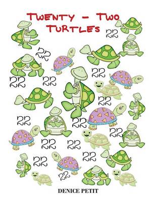 Twenty-Two Turtles (Paperback)