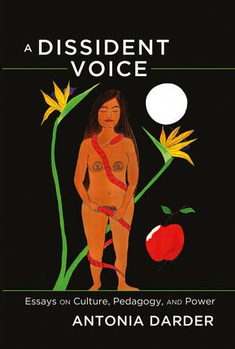 A Dissident Voice: Essays on Culture, Pedagogy, and Power - Counterpoints 418 (Hardback)