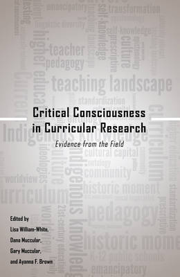 Critical Consciousness in Curricular Research: Evidence from the Field - Critical Qualitative Research 9 (Paperback)