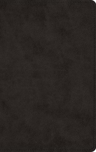 ESV Men's Devotional Bible (Leather / fine binding)