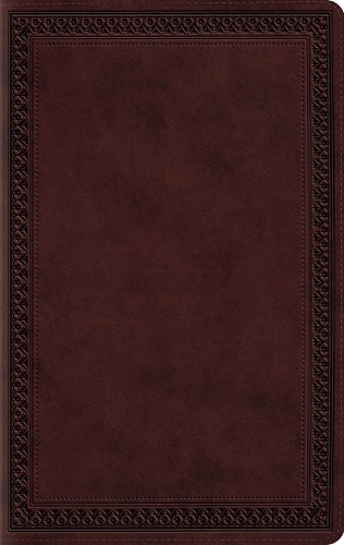 Esv Large Print Value Thinline Bible