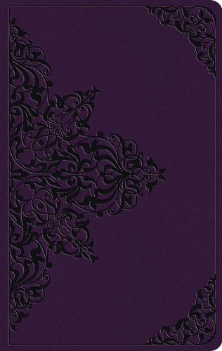 Crossway Books Esv Large Print Value Thinline Bible
